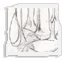 Sketch Forest
